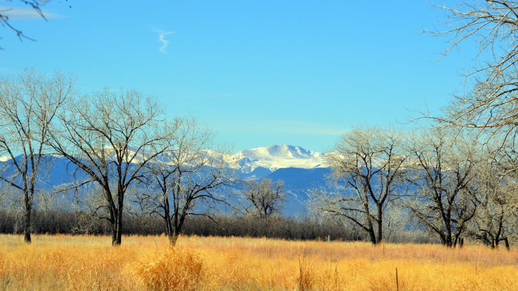 Colorado Consultant Insurance