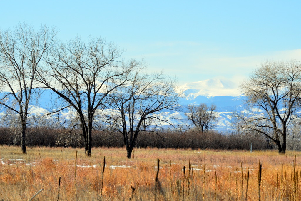 Work comp safety culture colorado