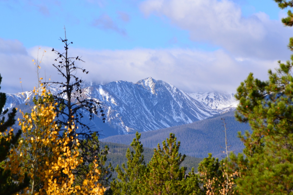 Fraser Valley in June