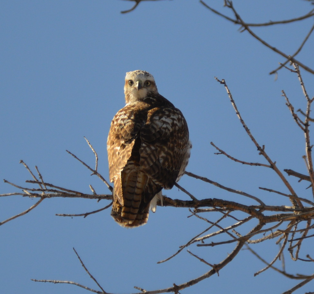 Outdoor Guides Colorado insurance