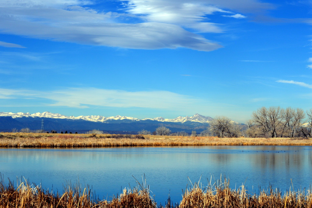 Work Comp claim colorado