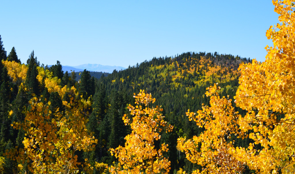 Preparing your Colorado home for winter