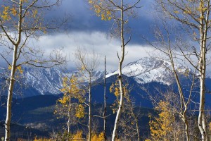 Fall Aspen Colorado Mountain