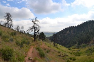 Colorado Hiking Trail   