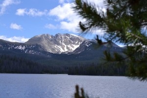 Colorado lake and pine 